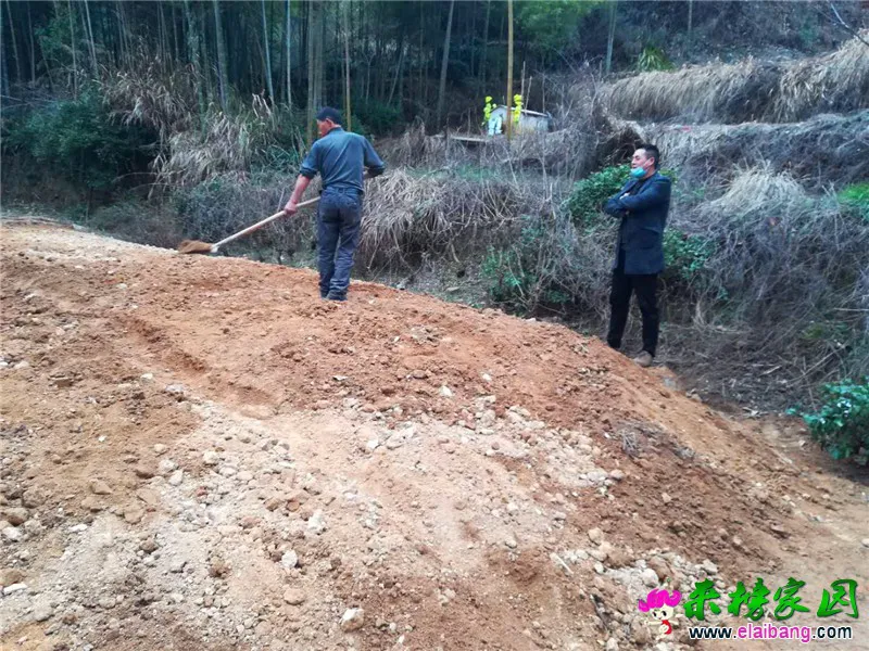 微信图片_20200303192839.webp