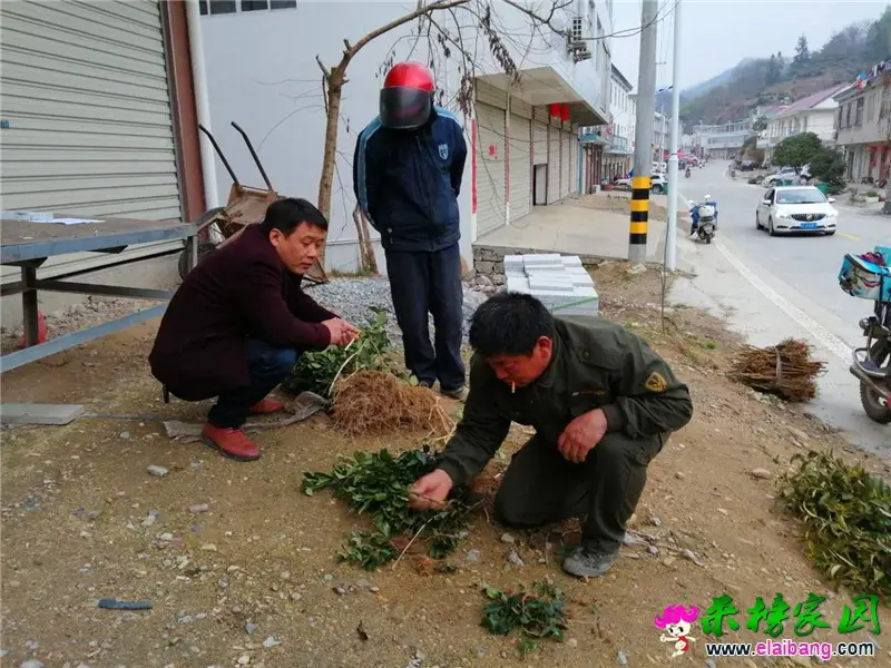 微信图片_20200304194946.webp