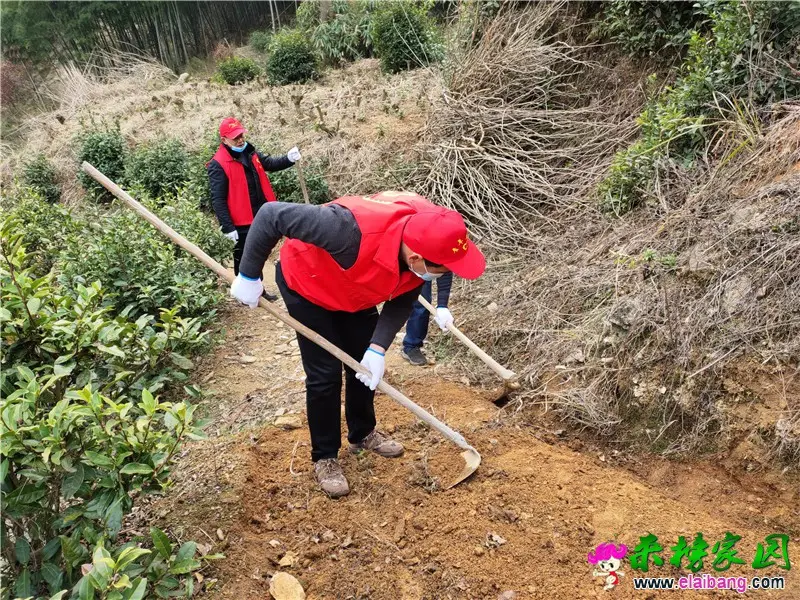 微信图片_20200304194941.webp