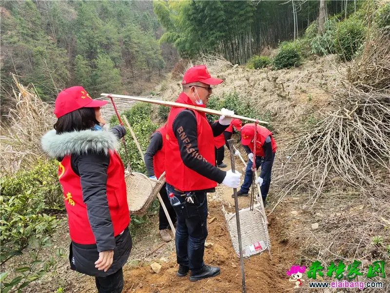 微信图片_20200304194939.webp