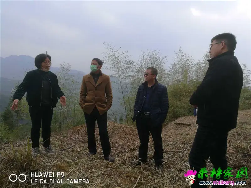 微信图片_20200304194944.webp
