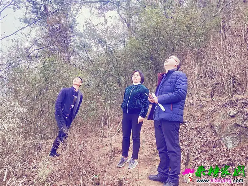 微信图片_20200304194949.webp