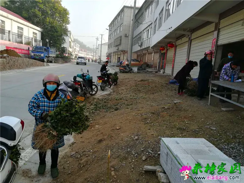 微信图片_20200305191336.webp