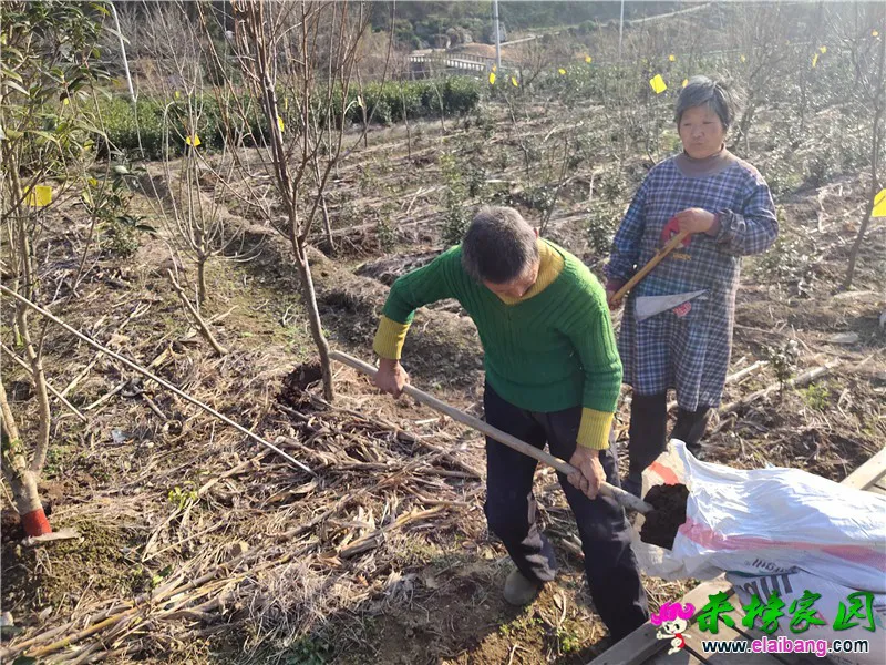 微信图片_20200305191437.webp