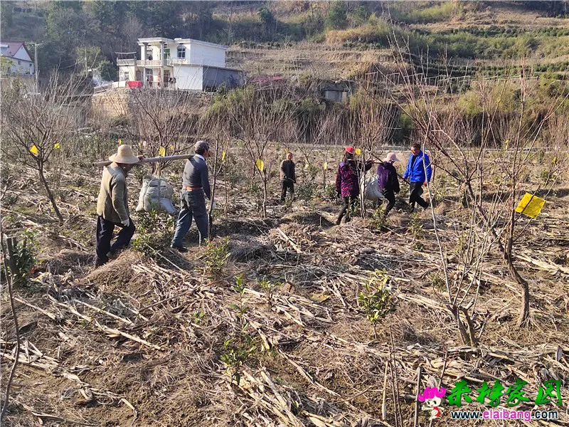 微信图片_20200305191433.webp