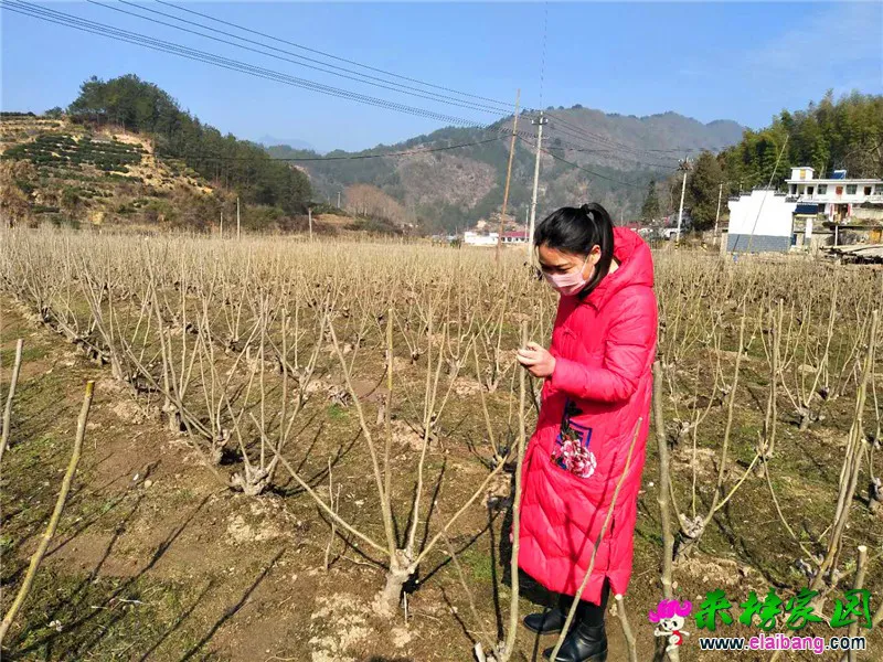 微信图片_20200305191406.webp