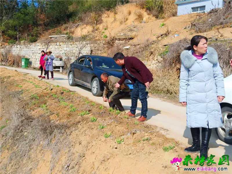 微信图片_20200305191354.webp