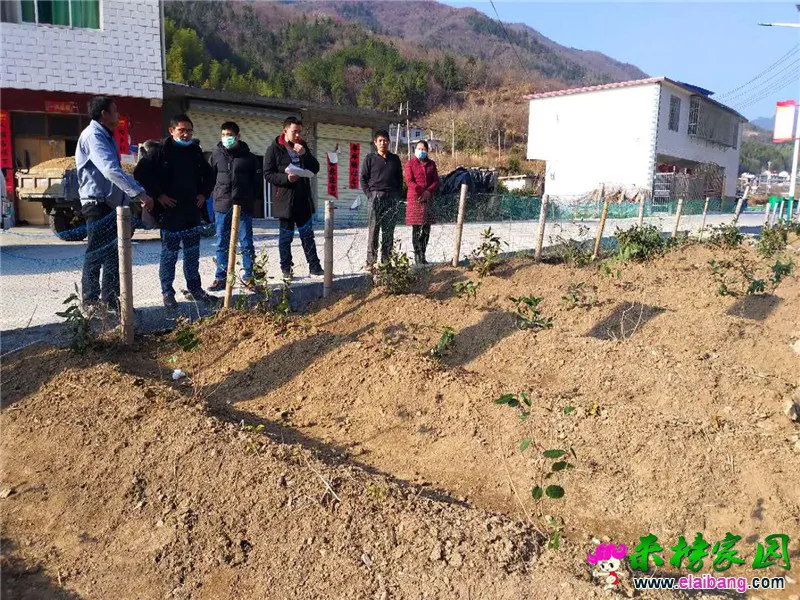 微信图片_20200305191422.webp