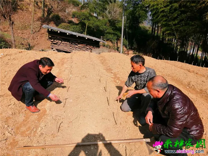 微信图片_20200305191446.webp