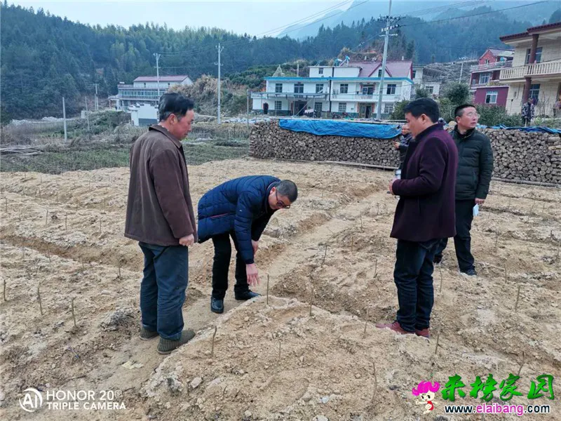 微信图片_20200306212839.webp