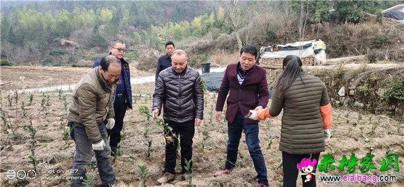 微信图片_20200306212859.webp
