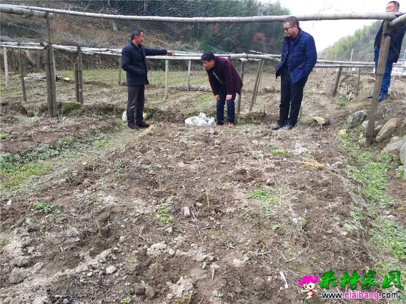 微信图片_20200307213816.webp