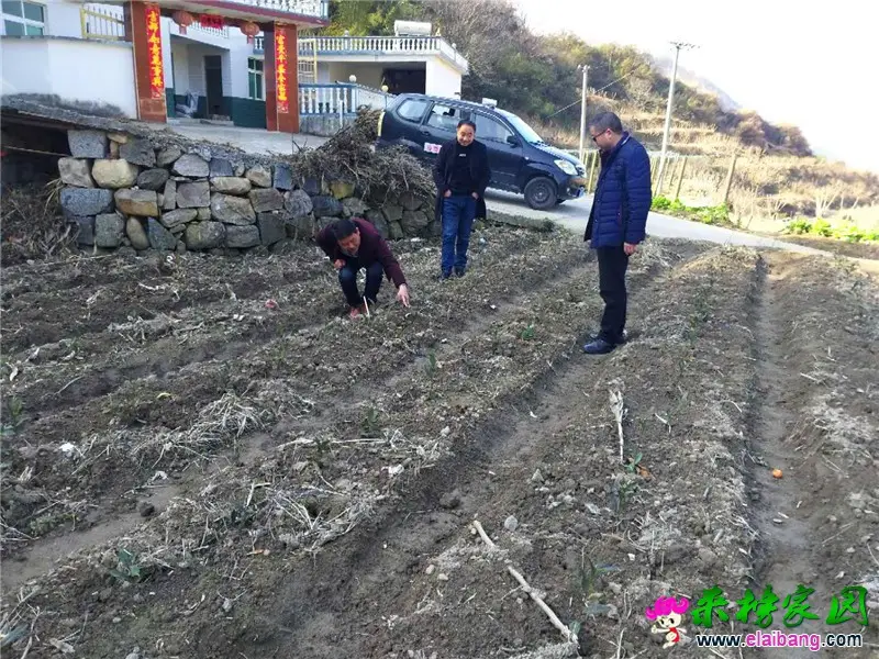 微信图片_20200307213813.webp