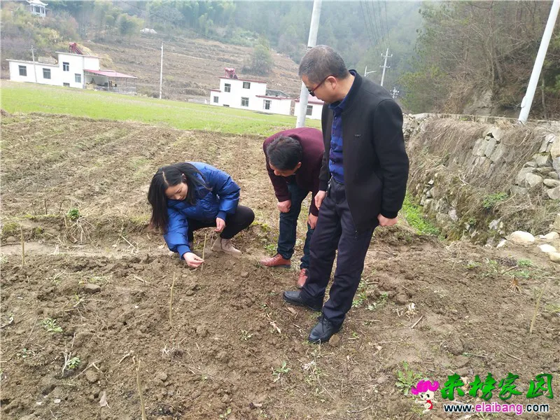 微信图片_20200309160111.webp