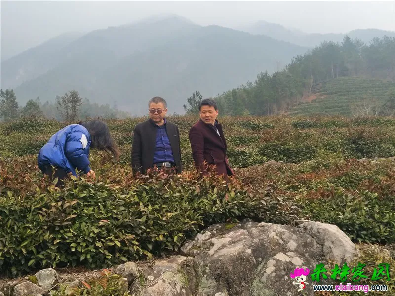 微信图片_20200309160116.webp