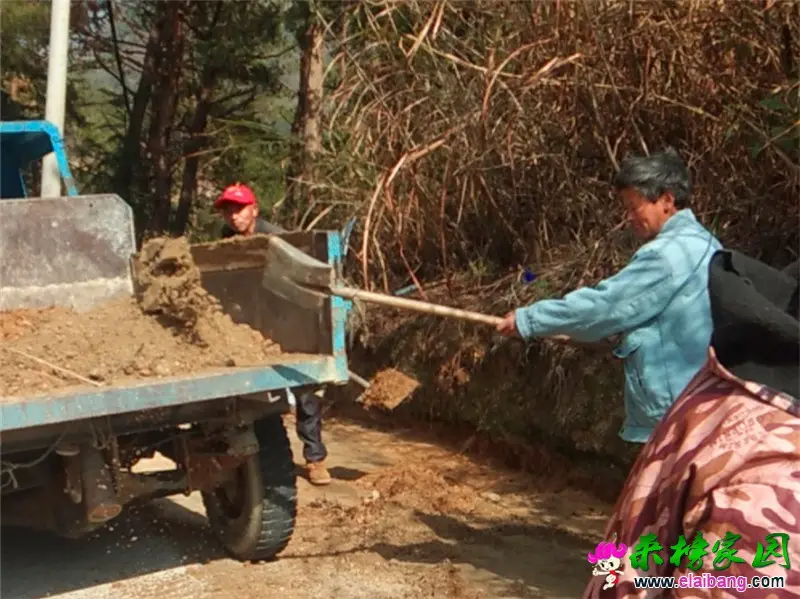 微信图片_20200310202303.webp