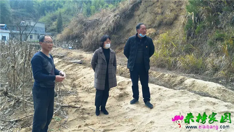 微信图片_20200310202311.webp