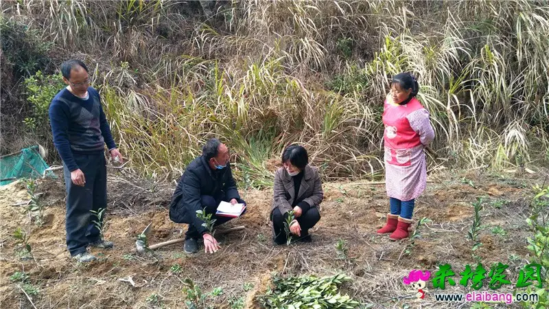 微信图片_20200310202314.webp
