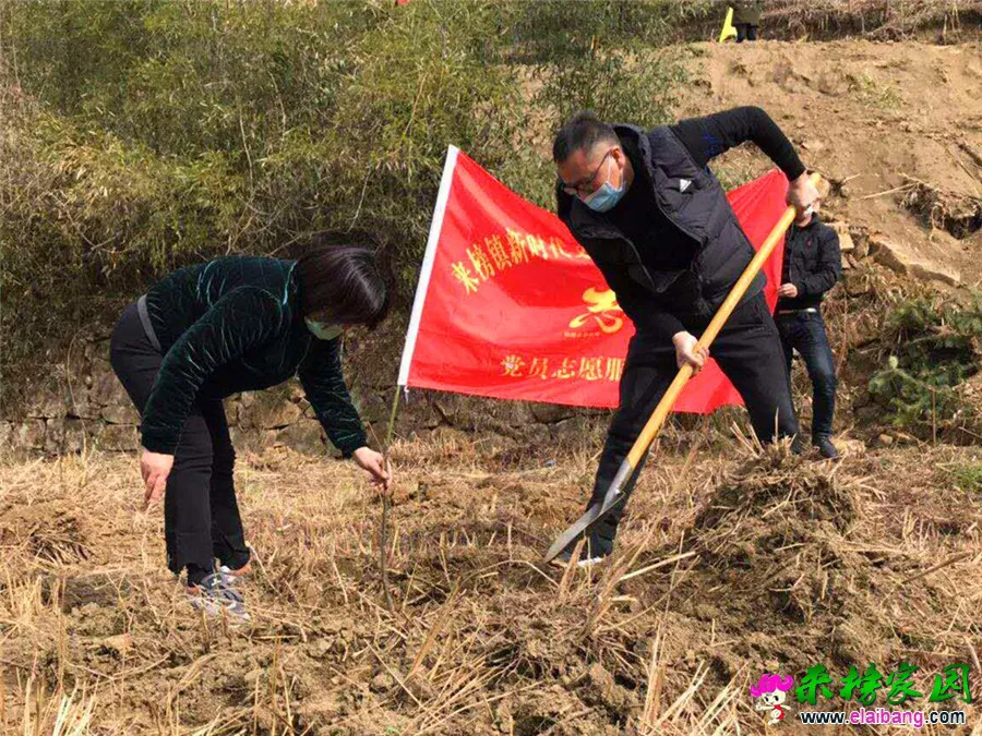 微信图片_20200311185619.webp