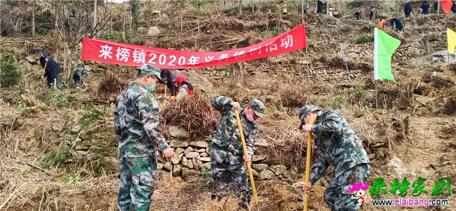 微信图片_20200311185553.webp