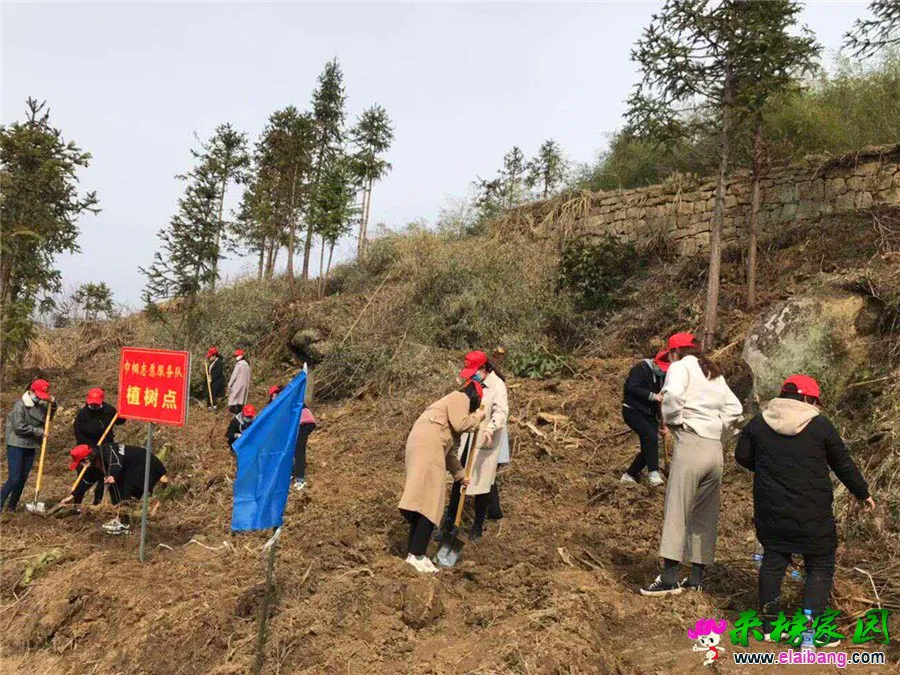 微信图片_20200311185625.webp