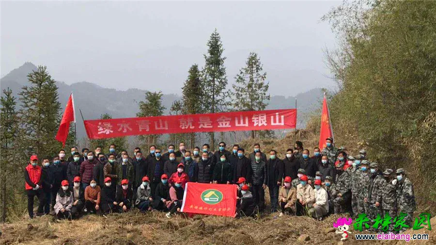 微信图片_20200311185623.webp