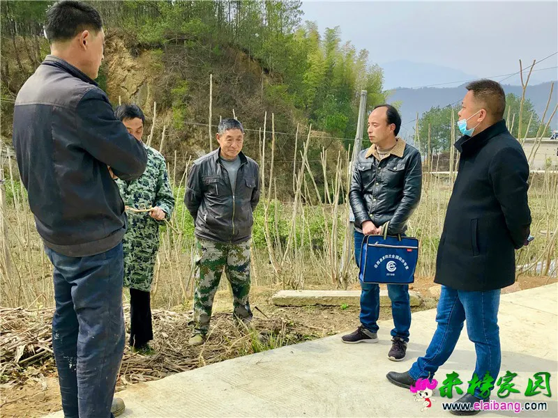 微信图片_20200311190302.webp