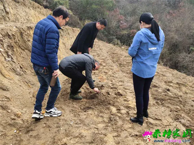 微信图片_20200313210746.webp