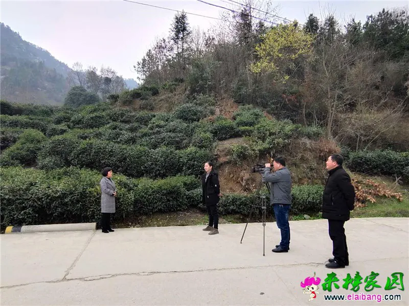 微信图片_20200313210823.webp