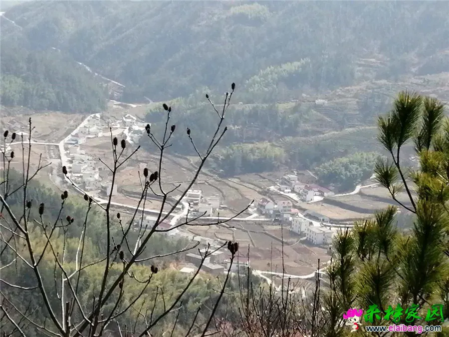微信图片_20200314210050.webp