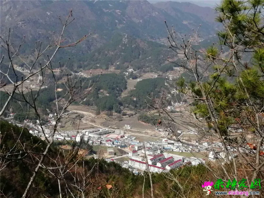 微信图片_20200314210044.webp