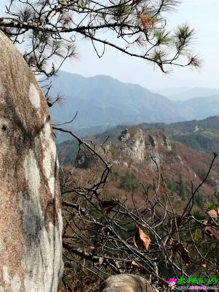 微信图片_20200314210040.webp