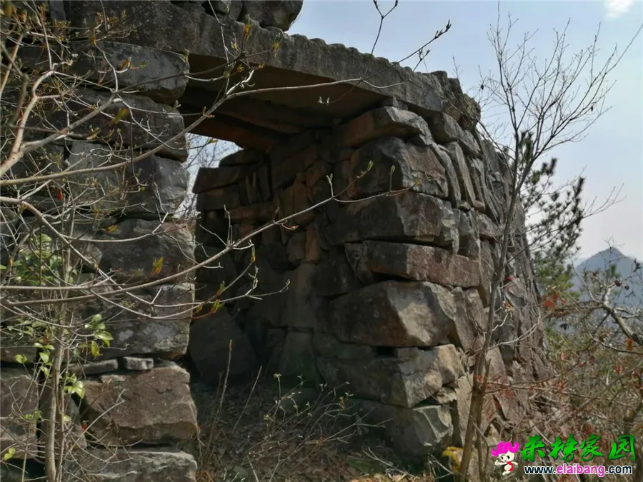 微信图片_20200314210035.webp