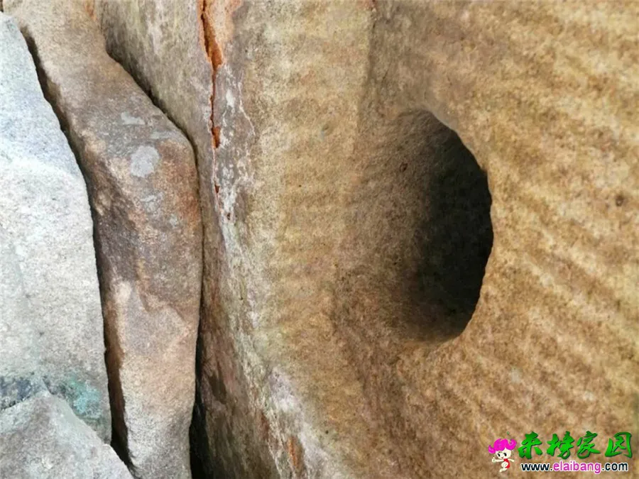 微信图片_20200314210033.webp
