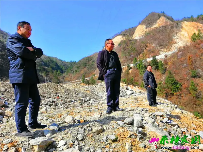 微信图片_20200315204050.webp