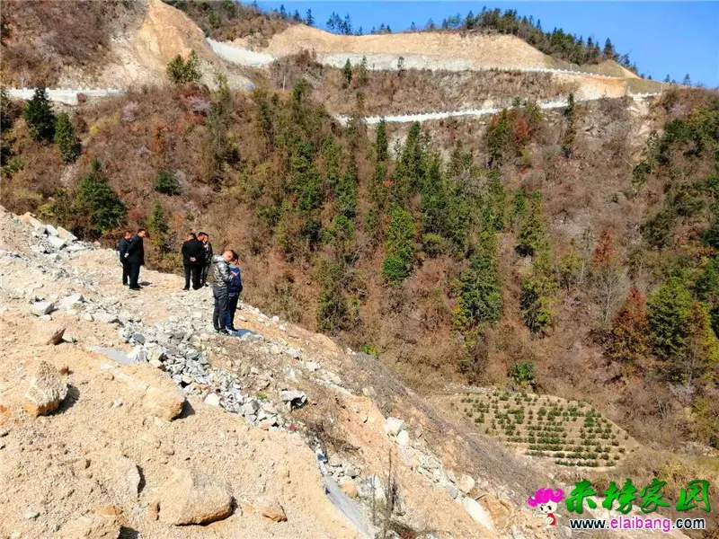 微信图片_20200315204046.webp