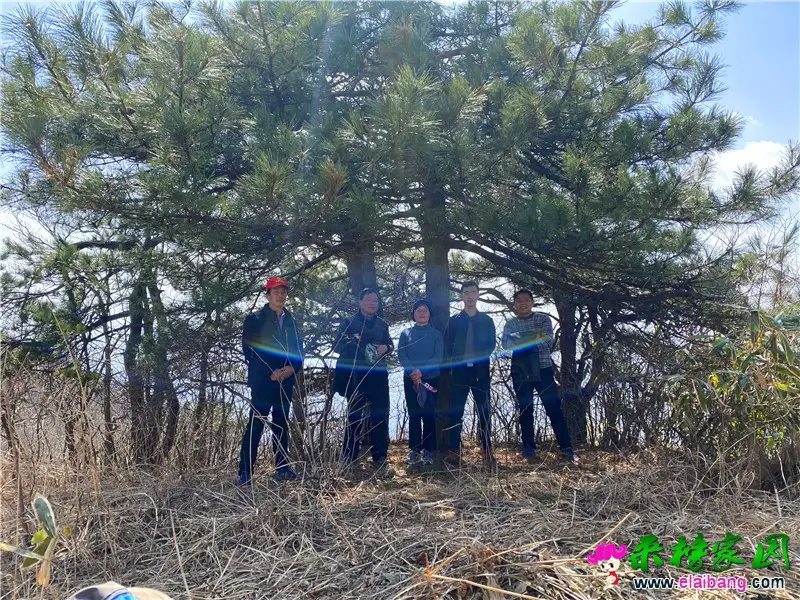 微信图片_20200315204013.webp
