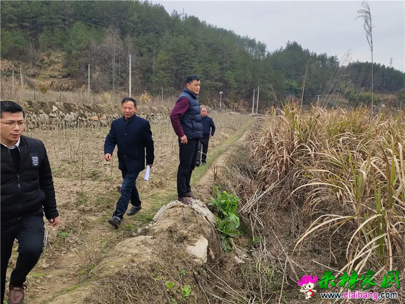 微信图片_20200316173652.webp