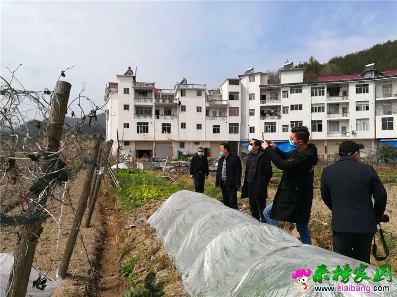 微信图片_20200316173645.webp