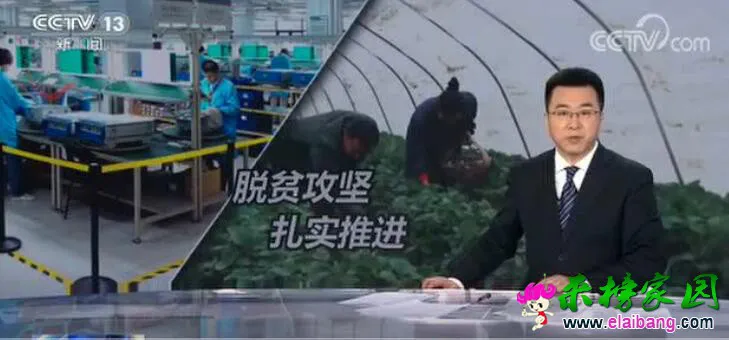 TIM截图20200317185726.webp