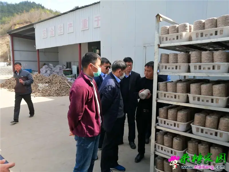 微信图片_20200317205545.webp