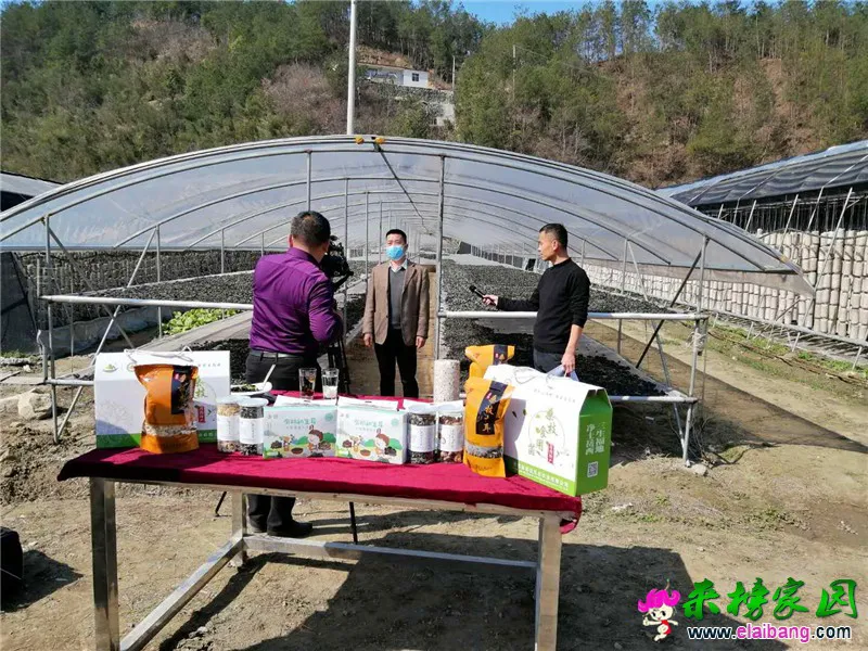 微信图片_20200318153841.webp