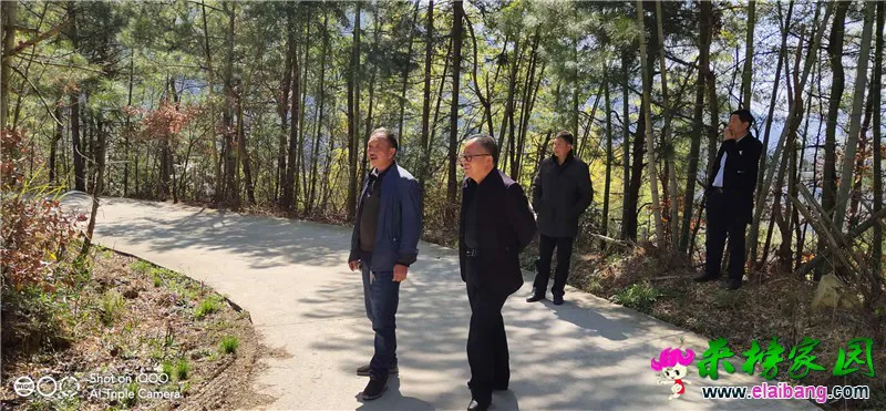 微信图片_20200318153934.webp