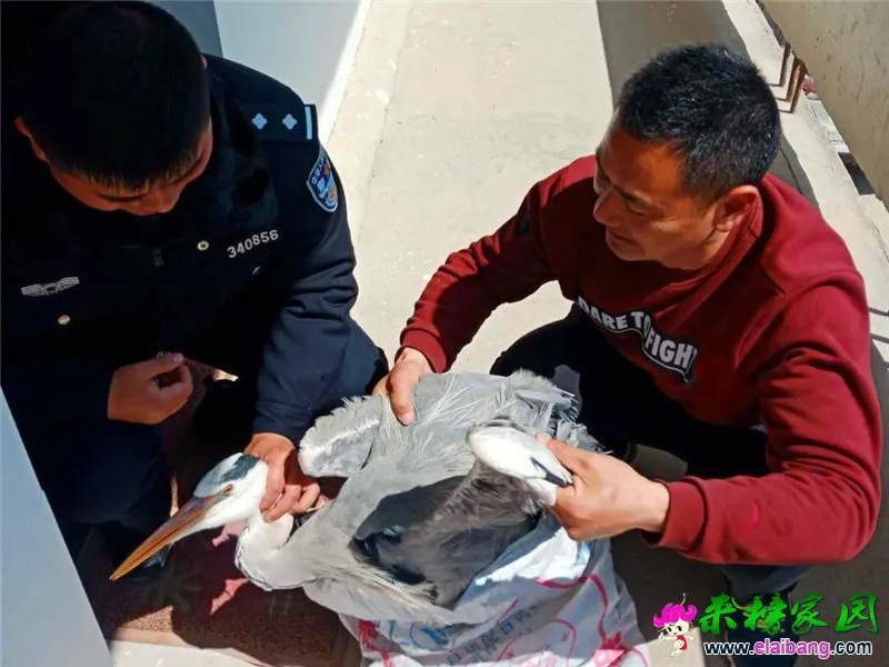 微信图片_20200318153909.webp