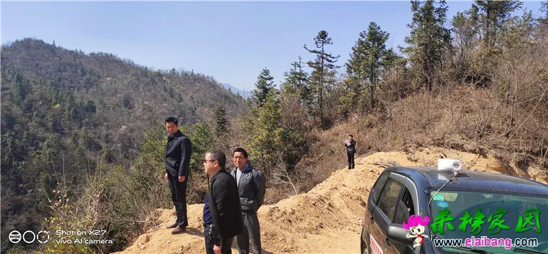微信图片_20200318161738.webp