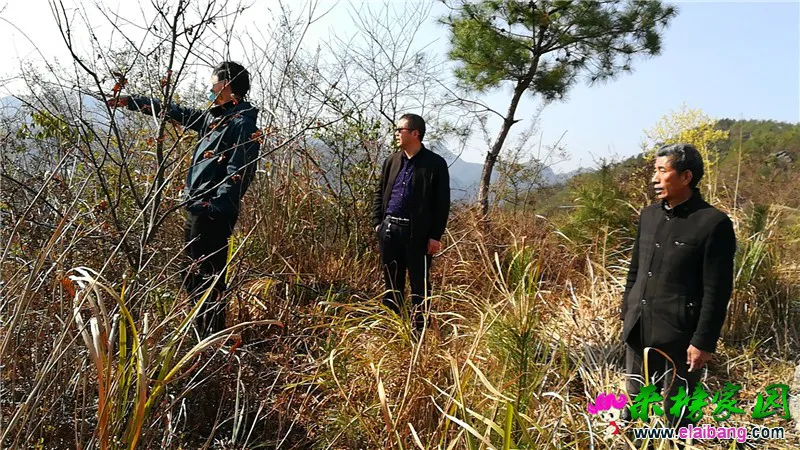 微信图片_20200319160850.webp