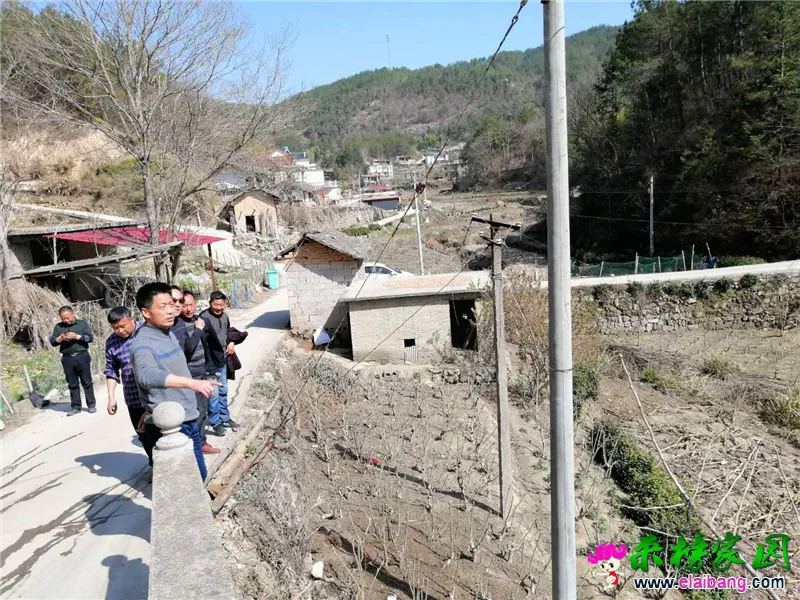微信图片_20200320210247.webp