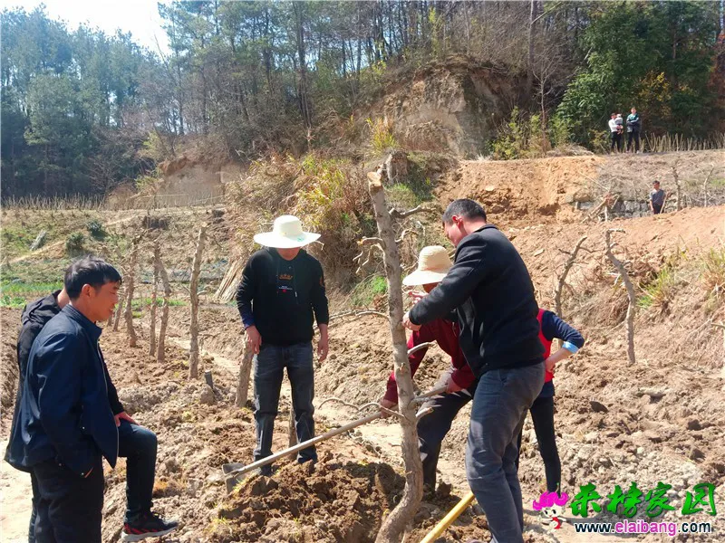 微信图片_20200320210253.webp