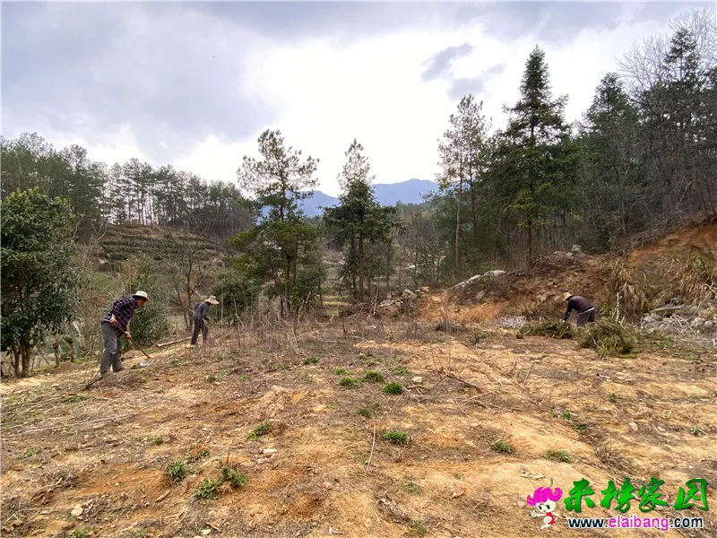微信图片_20200321195556.webp