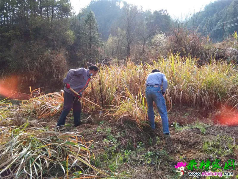 微信图片_20200322203159.webp